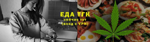 ECSTASY Алзамай
