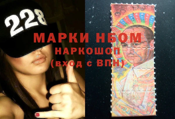 ECSTASY Алзамай