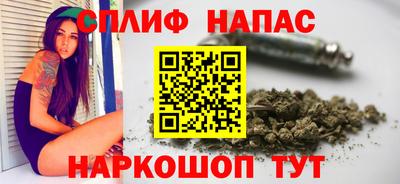 дмт Сланцы