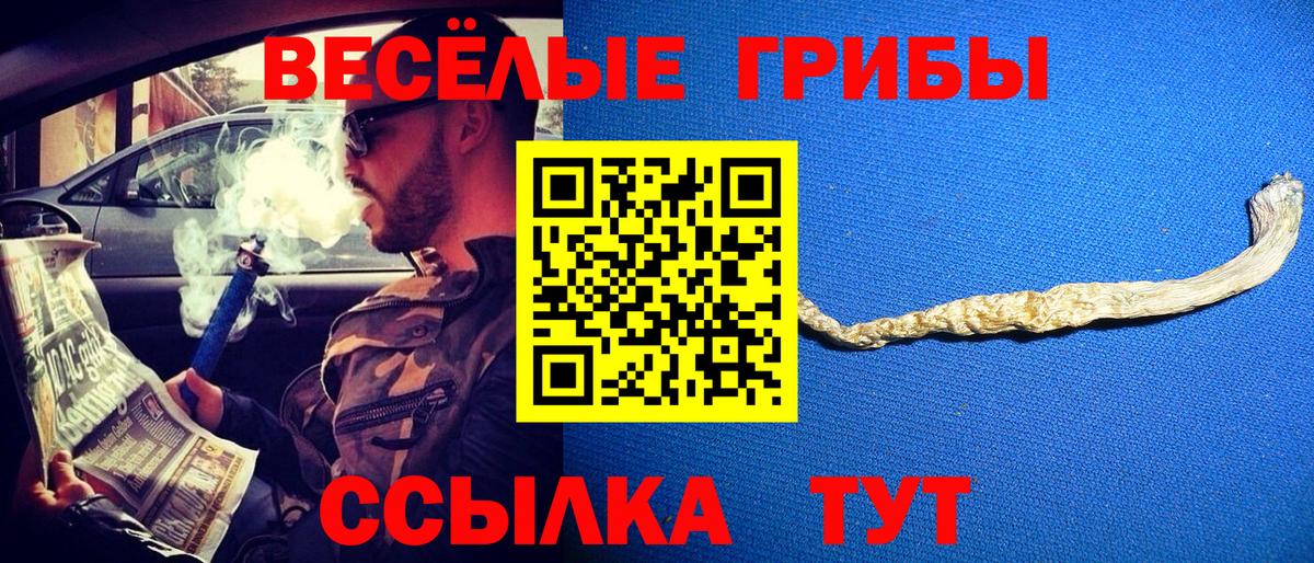 Псилоцибиновые грибы Magic Shrooms  Псилоцибиновые грибы Cubensis  Вход с VPN  Находка 