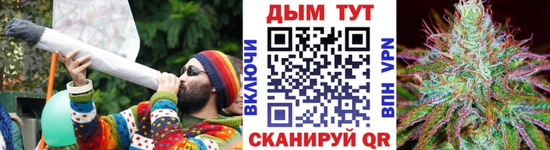 Бошки Шишки марихуана Находка